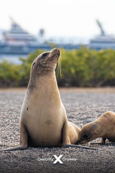 Post 10_Islas Galápagos (2)